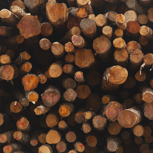 CT Log | Hardwood