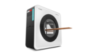 Woodeye