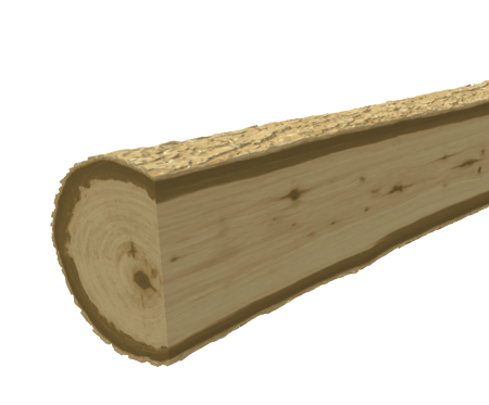 The digital log